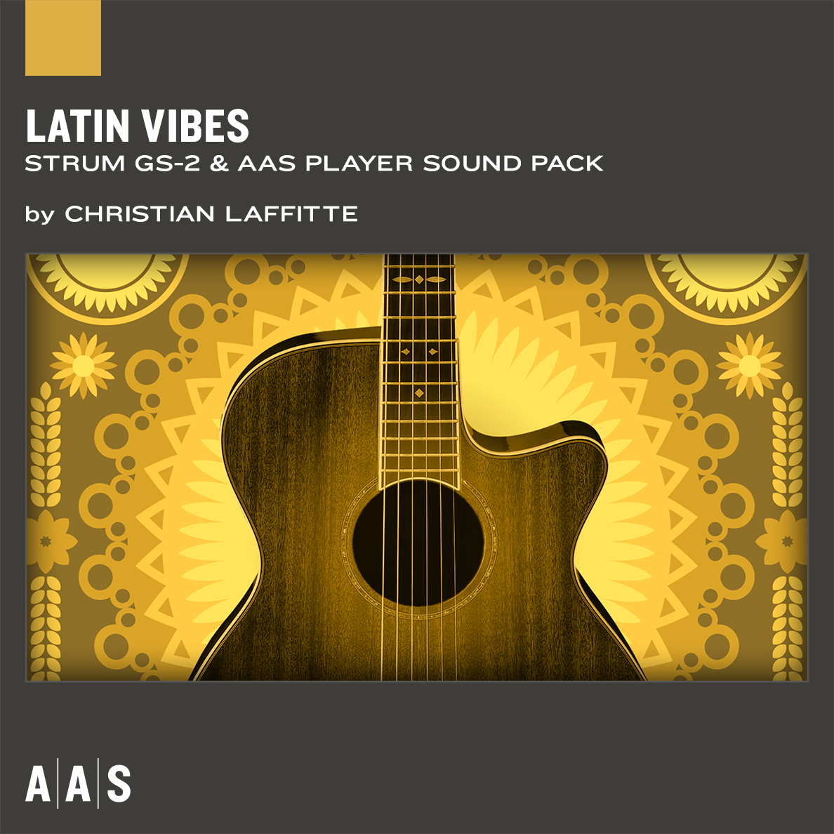 STRUM GS and AAS Player sound pack ： Latin Vibes