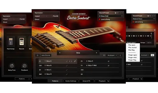 Session Guitarist - Electric Sunburst