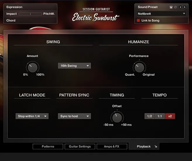 Session Guitarist - Electric Sunburst