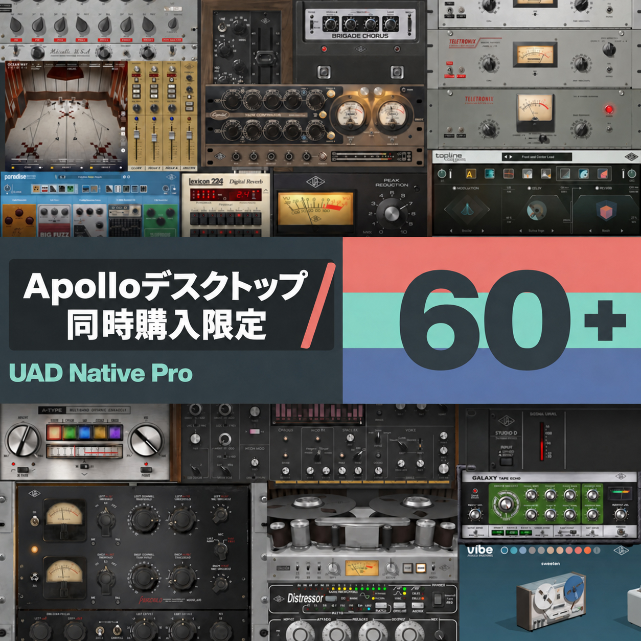 UAD Native Pro （Apolloデスクトップ同時購入限定版）
