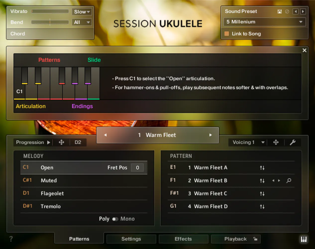 Session Ukulele
