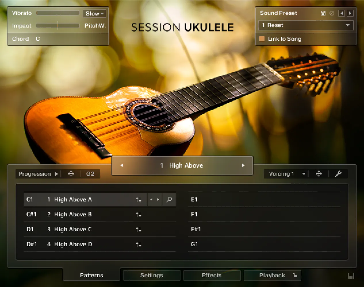 Session Ukulele