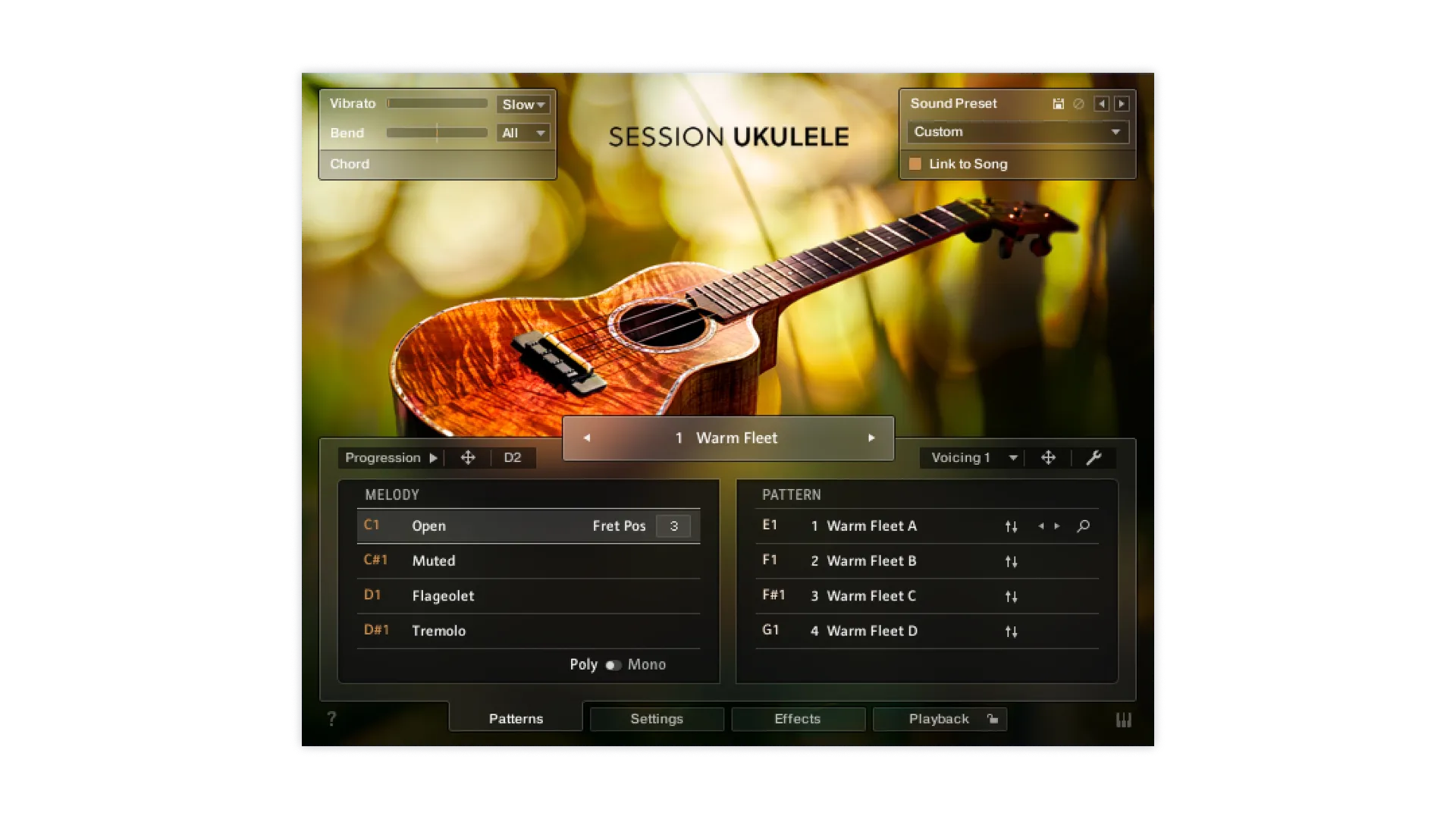 Session Ukulele