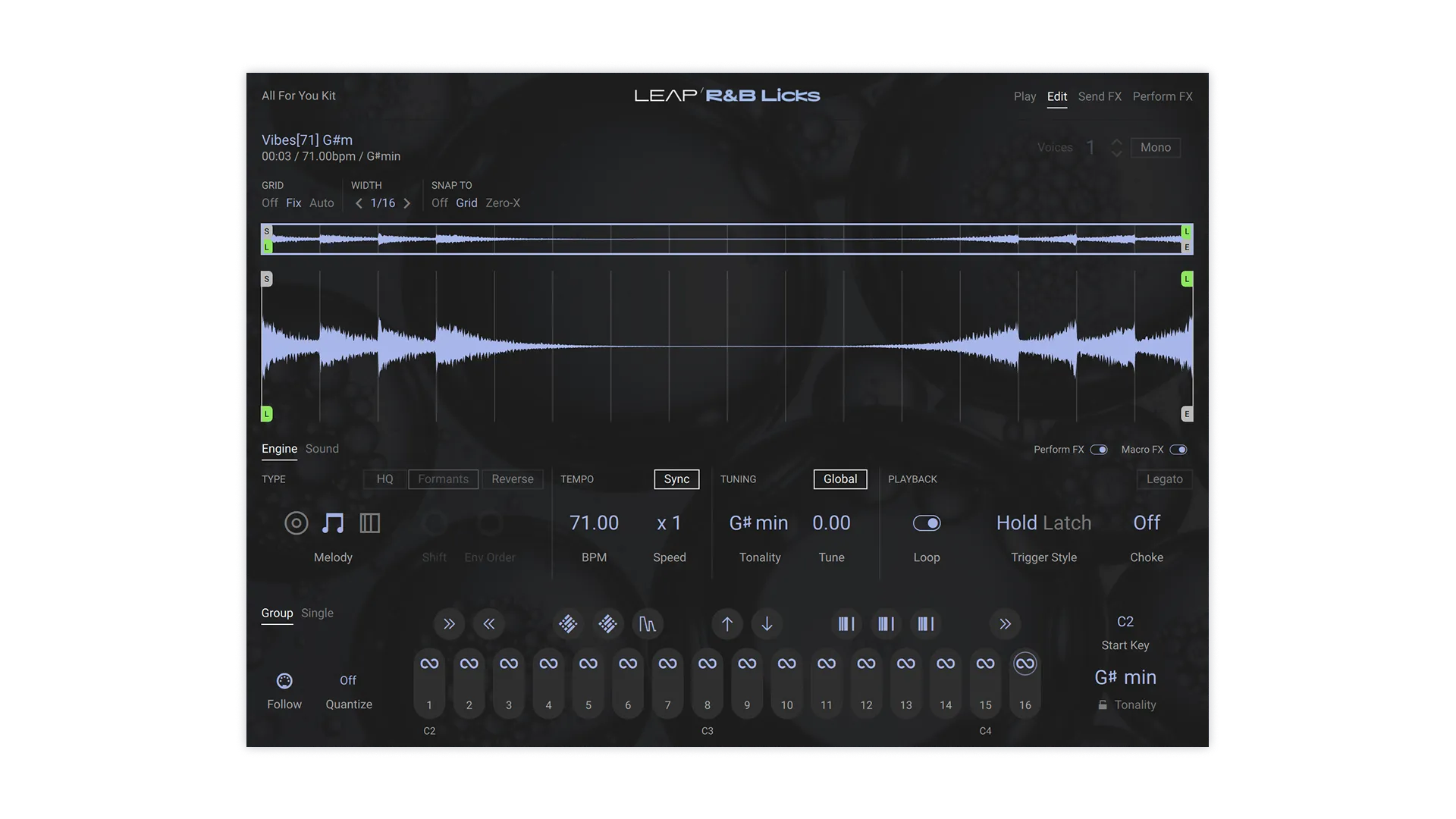 Leap Expansion - R&B Licks