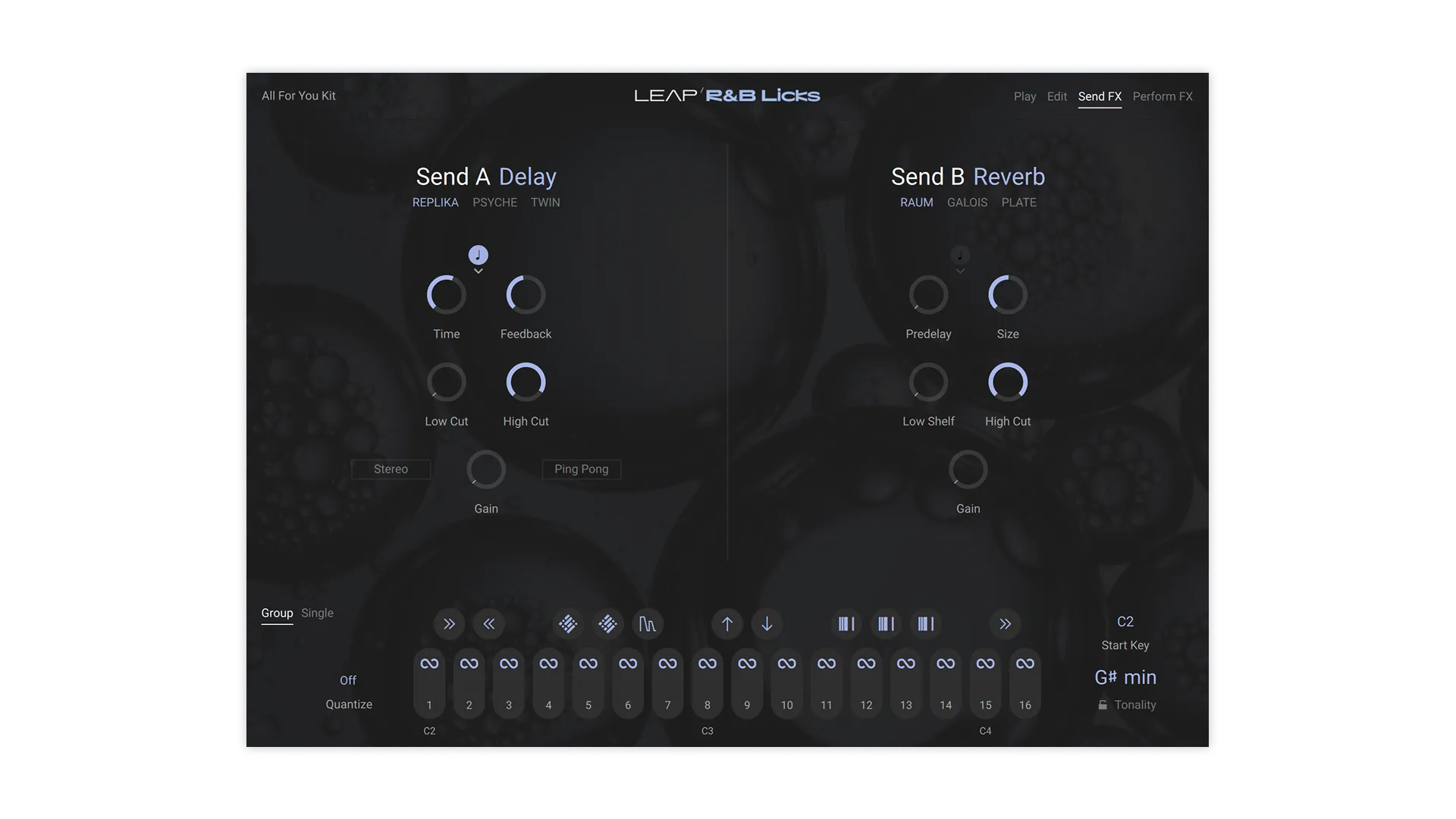 Leap Expansion - R&B Licks