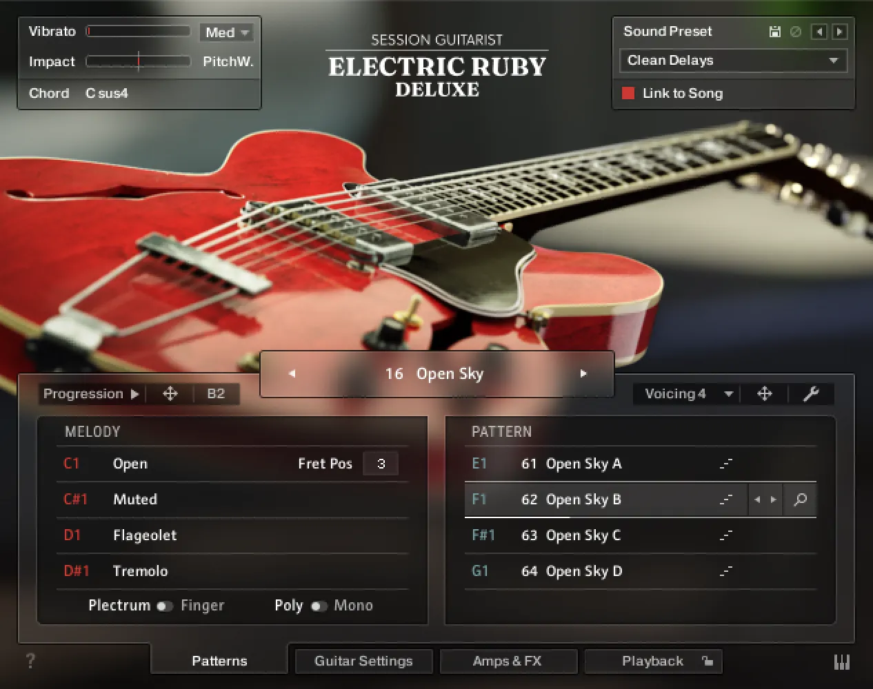 Session Guitarist - Electric Ruby Deluxe