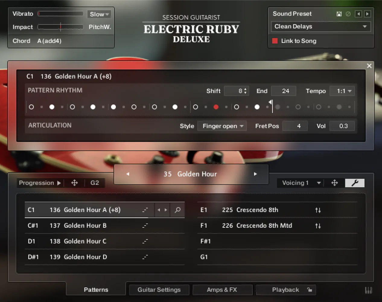 Session Guitarist - Electric Ruby Deluxe