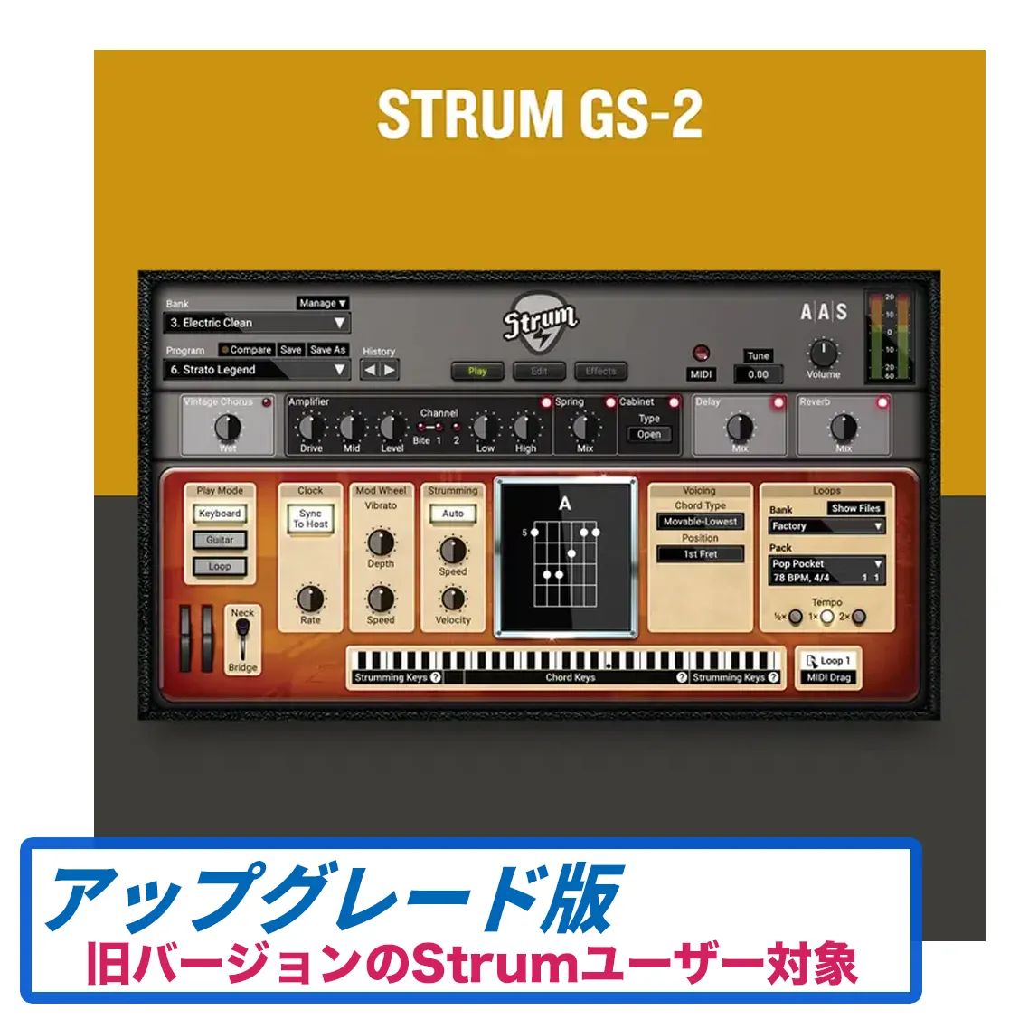 STRUM GS（旧バージョンからのアップグレード版）