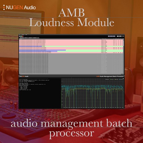 AMB Loudness Module