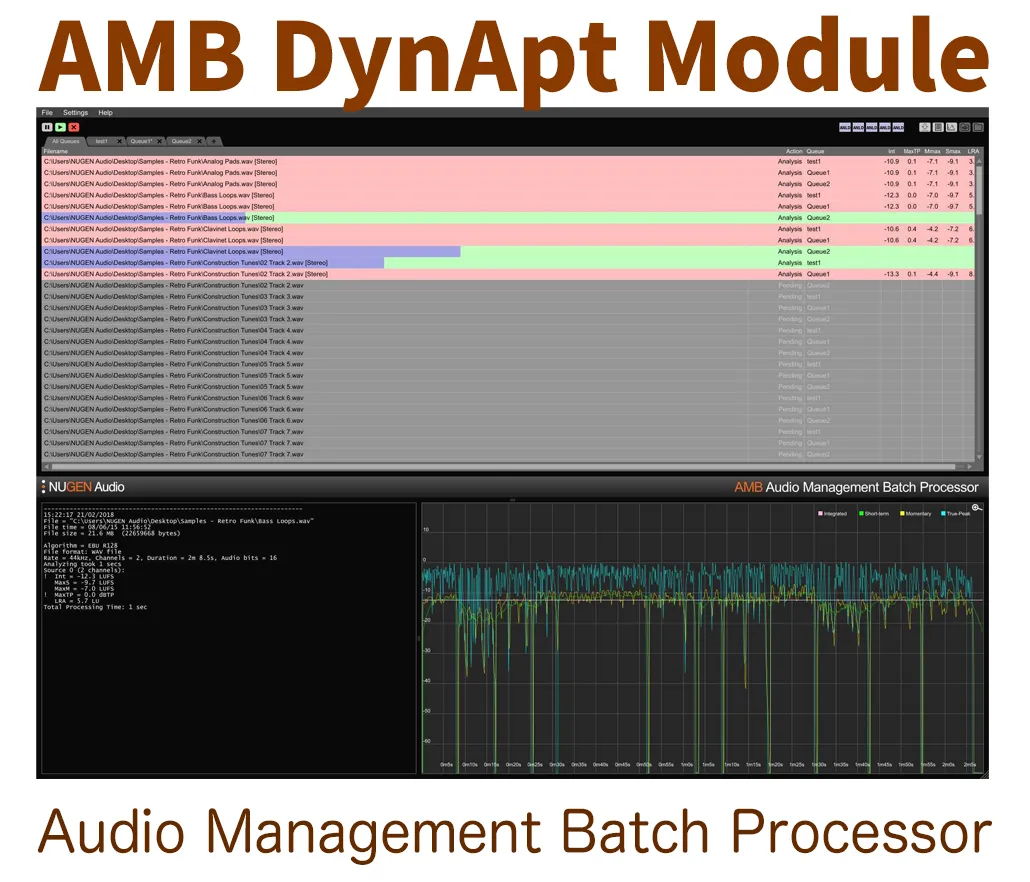AMB DynApt Module