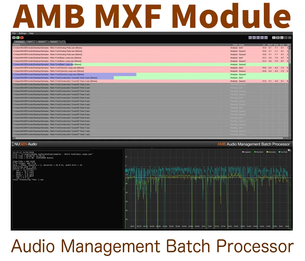 AMB MXF Module