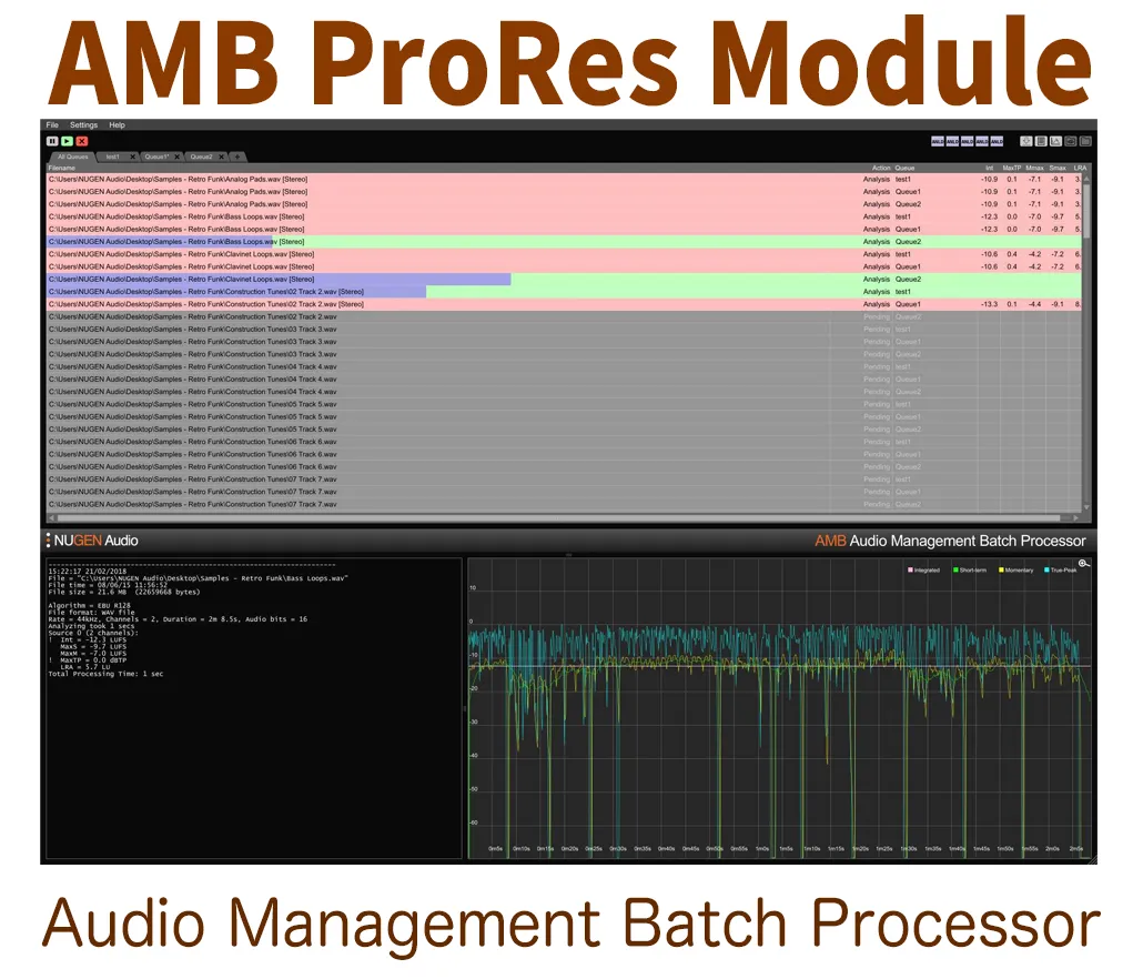 AMB ProRes Module