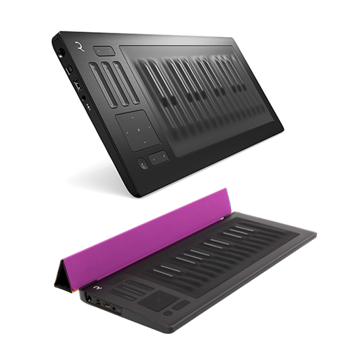 Seaboard RISE 25（Flip Case Lilacカラープレゼント）
