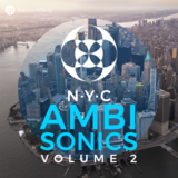 NYC Ambisonics Vol. 2