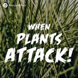 When Plants Attack!