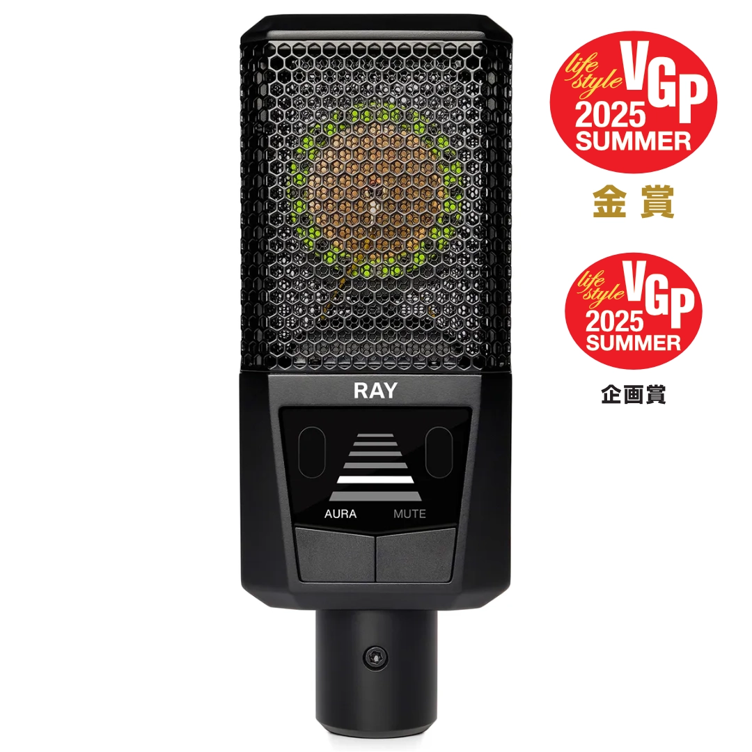 【VGP 2025 受賞】 RAY