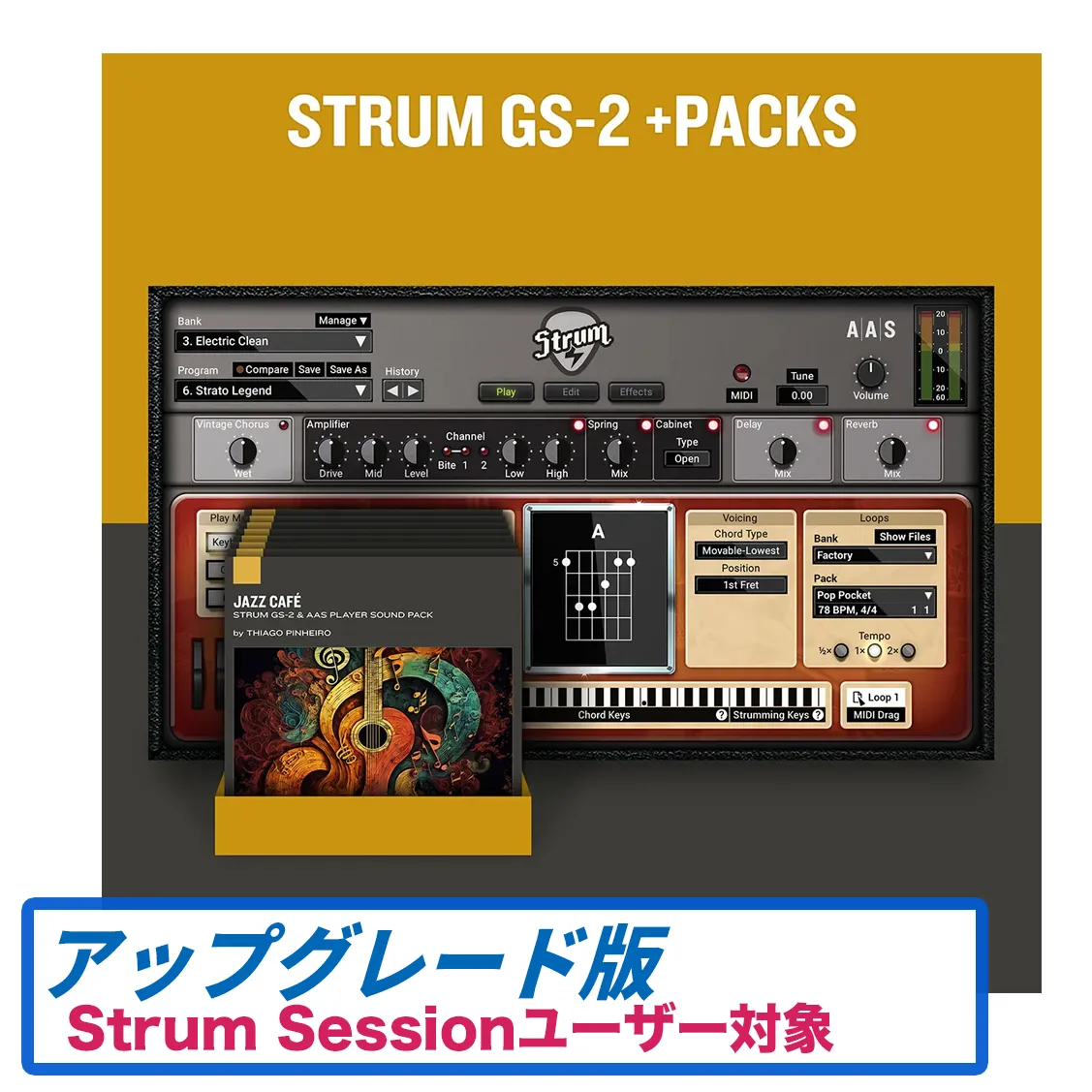 Strum GS-2 +PACKS（Strum Sessionからのアップグレード版）