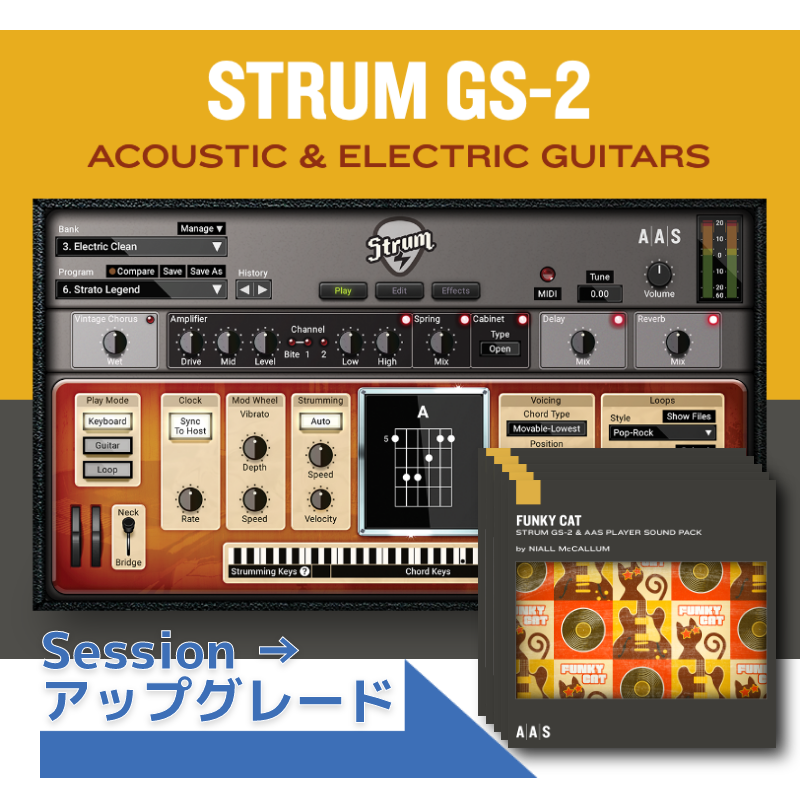 Strum GS-2 +PACKS  Upgrade from GS Session