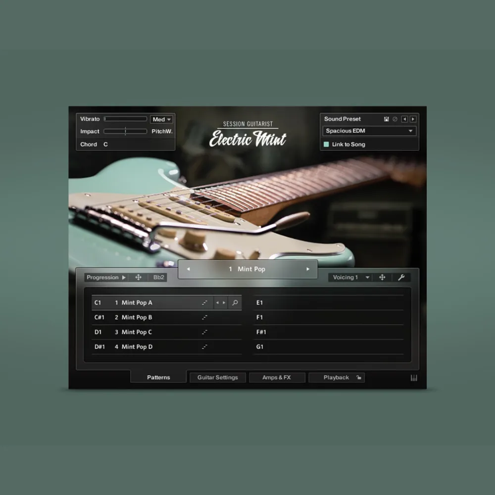 Session Guitarist - Electric Mint
