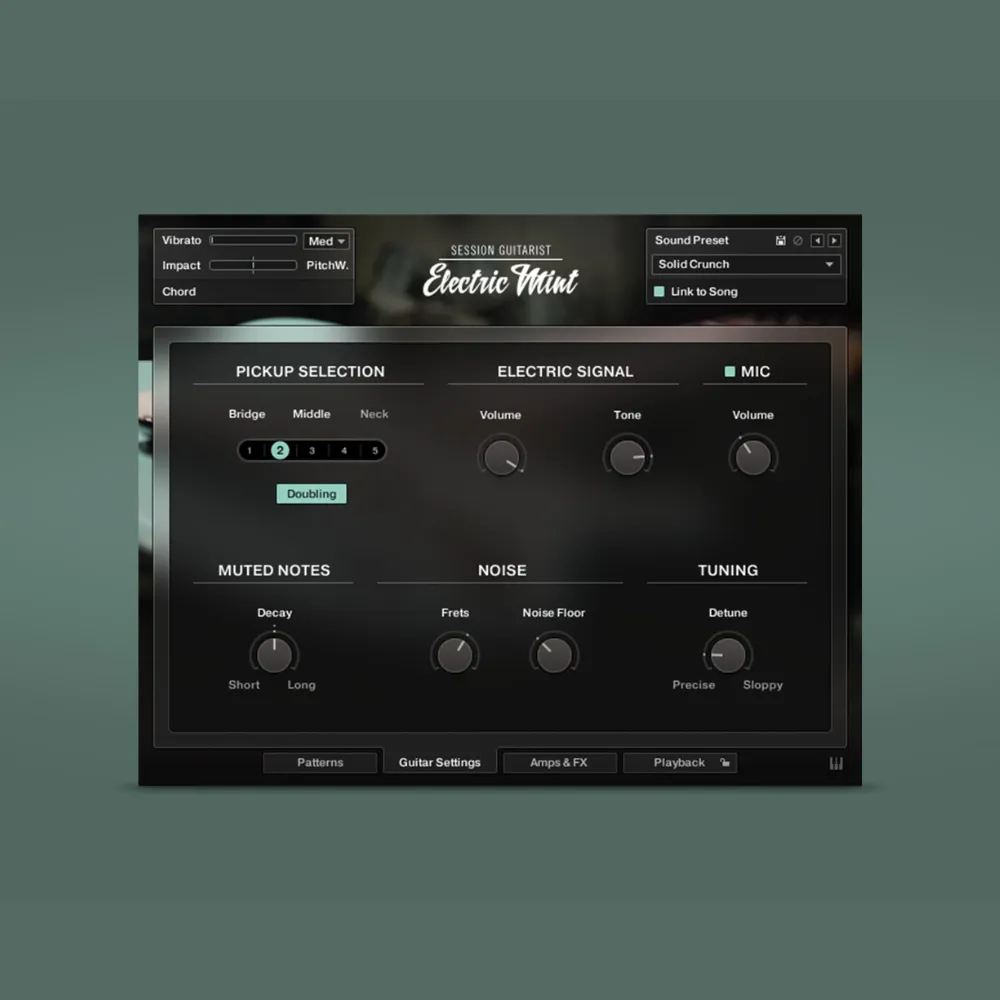 Session Guitarist - Electric Mint