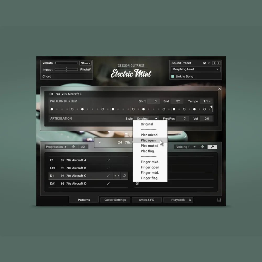 Session Guitarist - Electric Mint