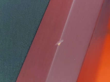 ST : TWIN 6(B級アウトレット品)(1本)