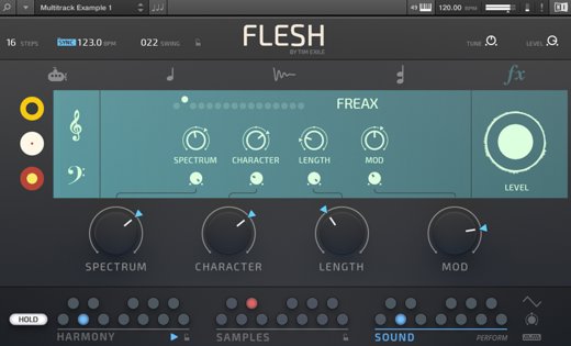 EFFECTS SECTION